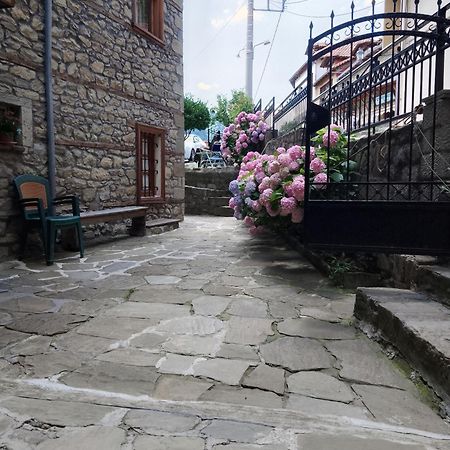 Hotel Arka Metsovo Zewnętrze zdjęcie