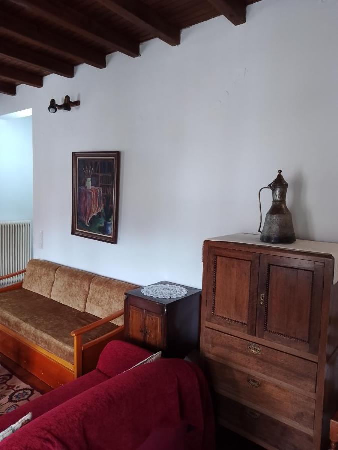 Hotel Arka Metsovo Zewnętrze zdjęcie