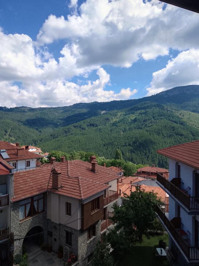 Hotel Arka Metsovo Zewnętrze zdjęcie
