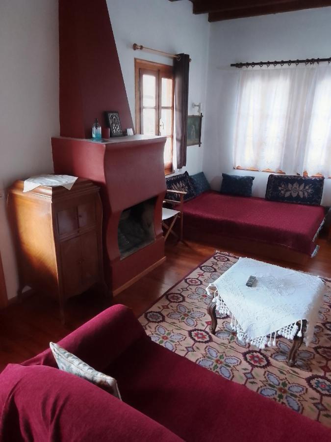 Hotel Arka Metsovo Zewnętrze zdjęcie