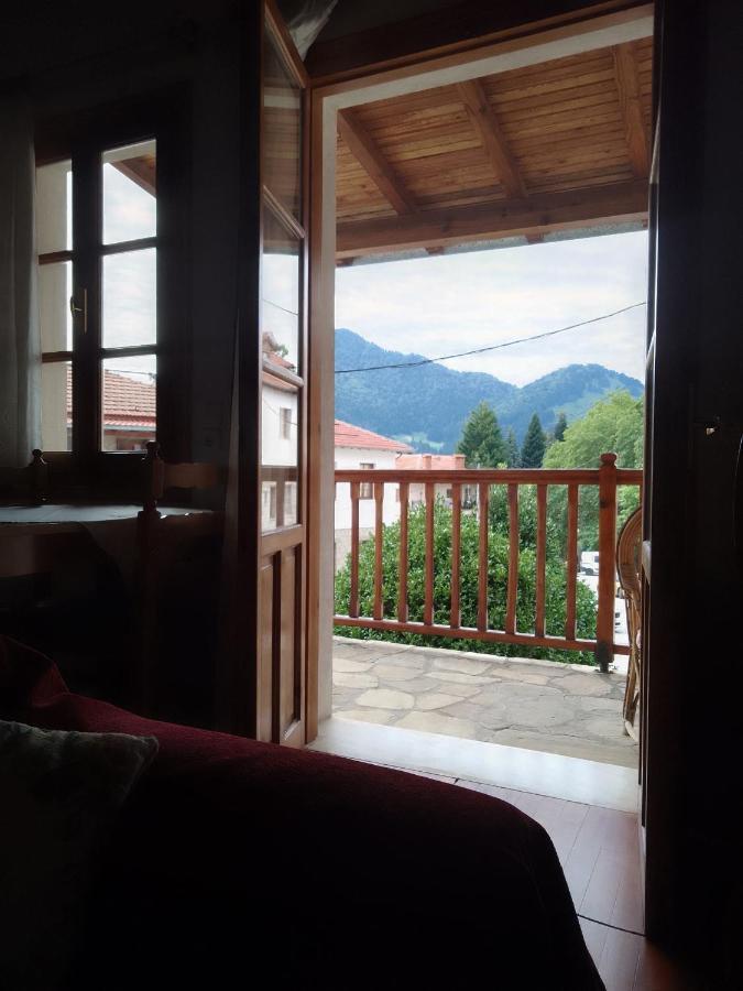 Hotel Arka Metsovo Zewnętrze zdjęcie