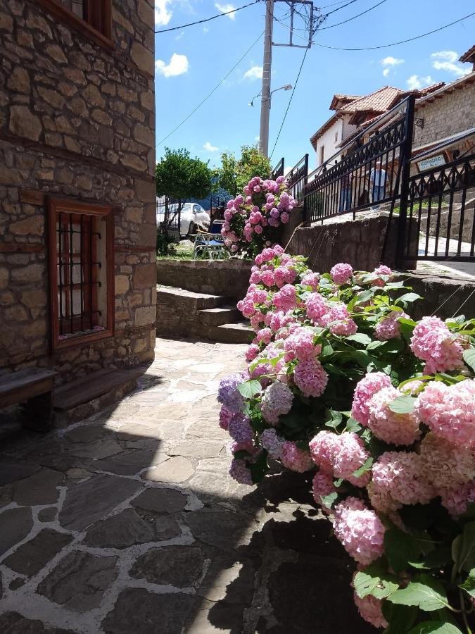 Hotel Arka Metsovo Zewnętrze zdjęcie