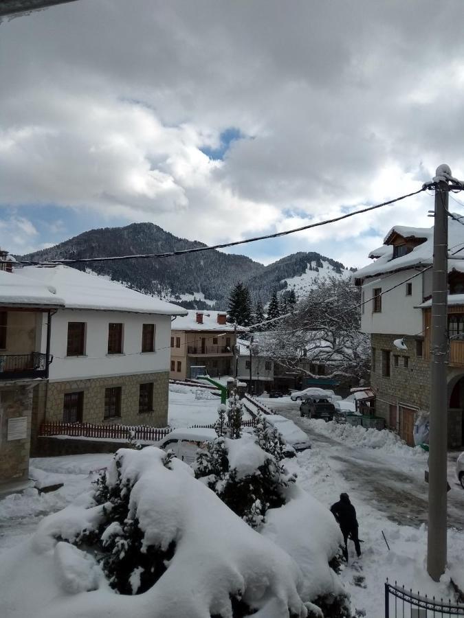 Hotel Arka Metsovo Zewnętrze zdjęcie