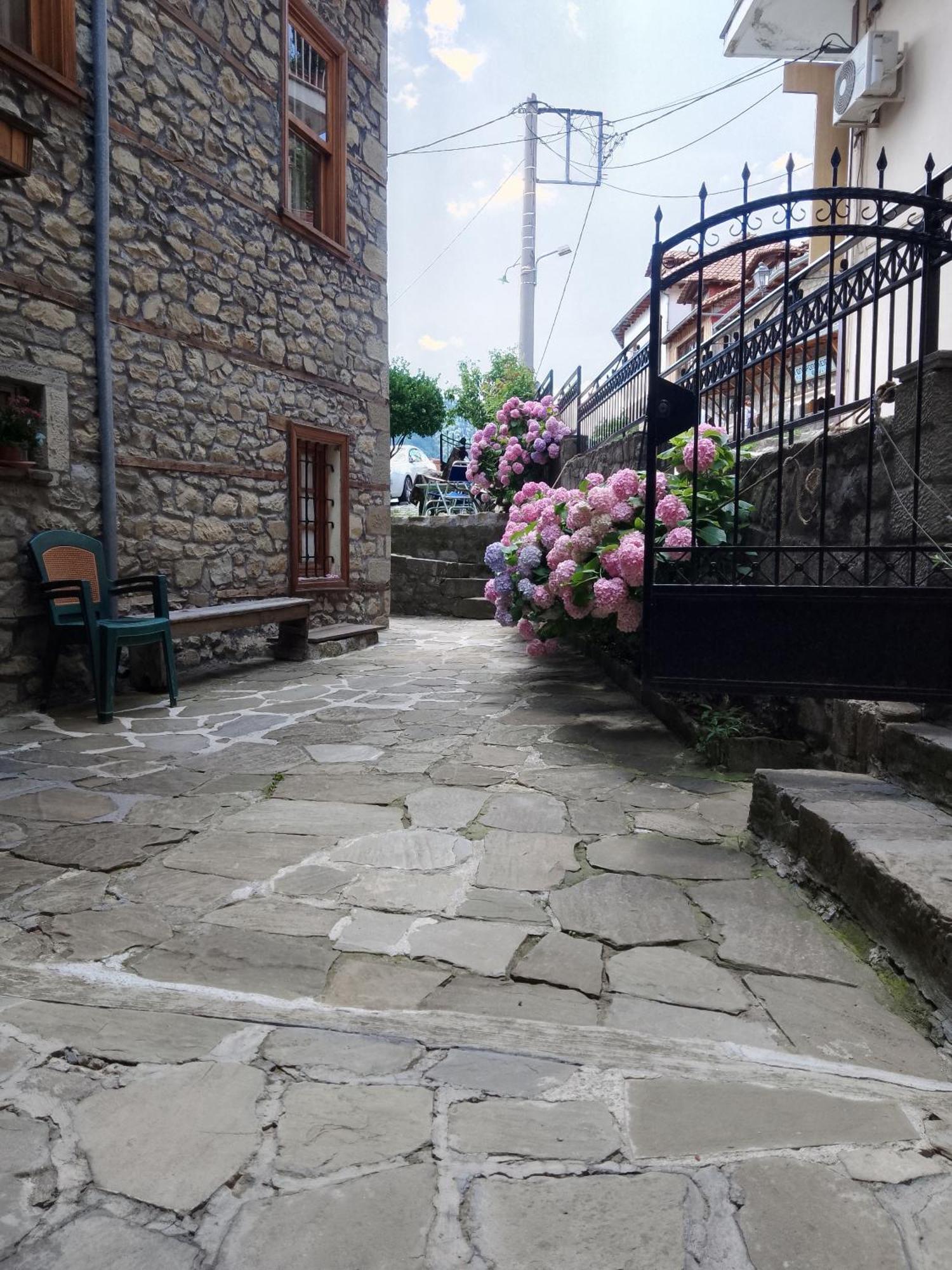 Hotel Arka Metsovo Zewnętrze zdjęcie
