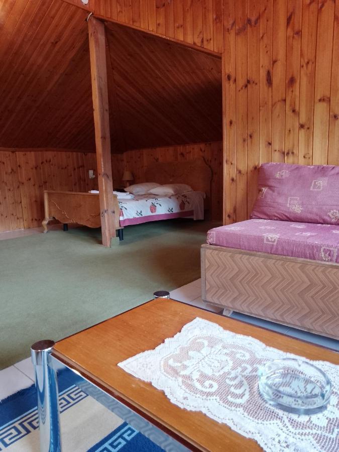Hotel Arka Metsovo Zewnętrze zdjęcie